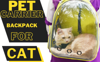 Best Cat Carrier – Top Cat Carrier in India